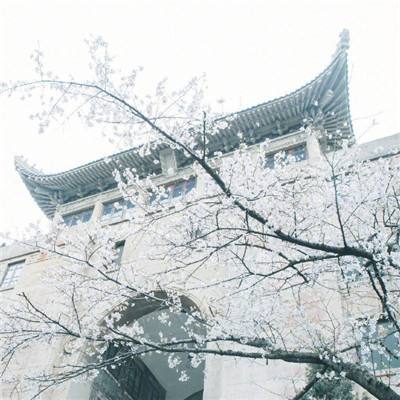 2024年度会计初级、高级考试上海考区温馨提示